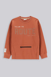 Džemperis Coccodrillo, brūns