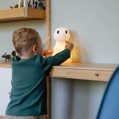 MR MARIA PĀRNĒSĀJAMA UN UZLĀDĒJAMA LAMPA "RENA" 18X18X31CM